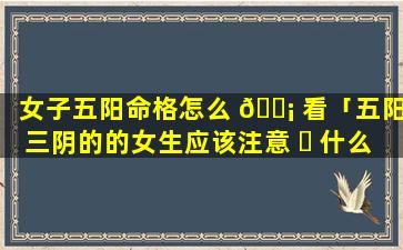 女子五阳命格怎么 🐡 看「五阳三阴的的女生应该注意 ☘ 什么」